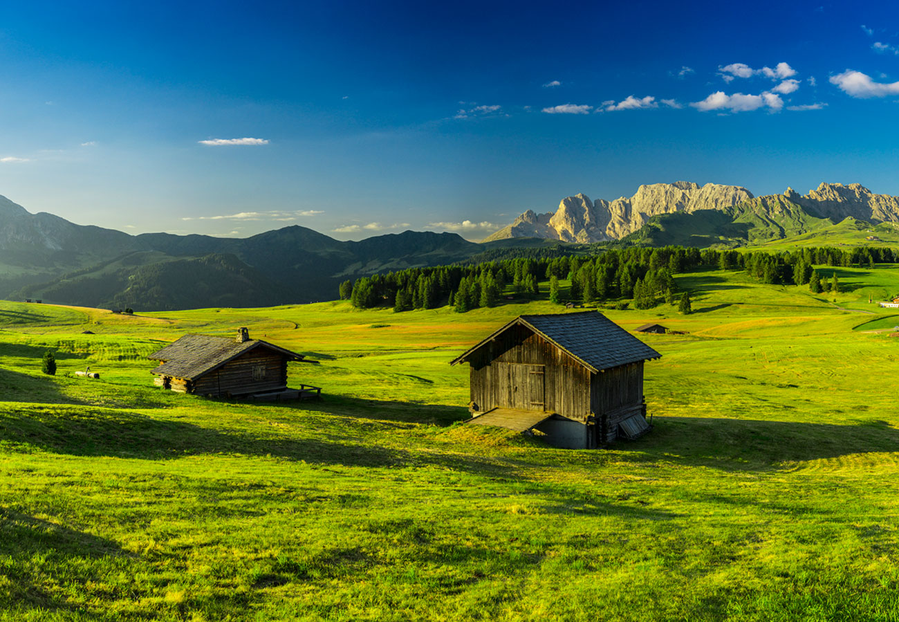 seiser alm – Akustikbilder und Schallabsorber von SCHALLSAUGER®