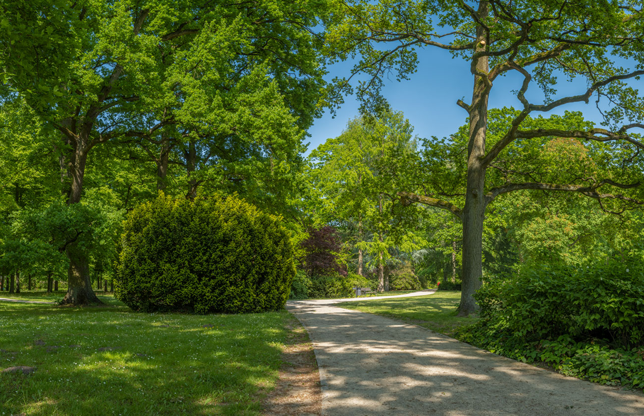 celle stadtpark – Akustikbilder und Schallabsorber von SCHALLSAUGER®