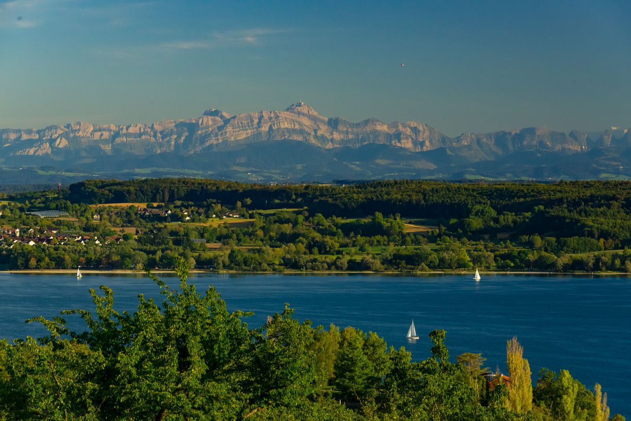 bodensee hödingen